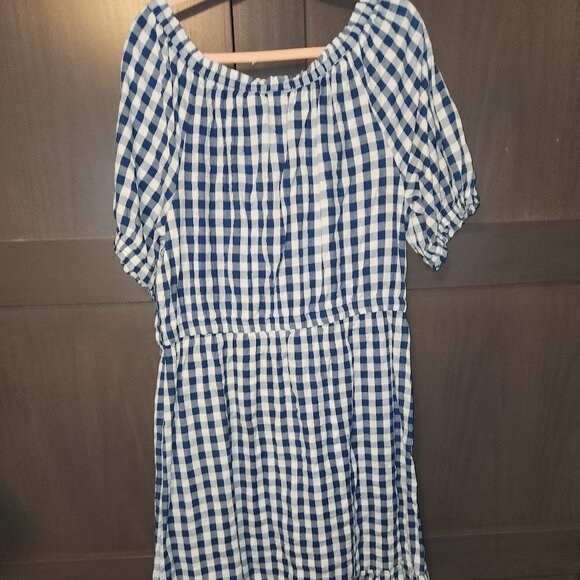 Blue and White Checked Dress - Picture 3 of 7